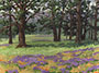 Lichen Oaks Ranch, Felton