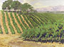 Bent Creek Winery, Livermore