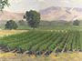 Sierra Nevada Mountains