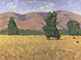 Willow Springs Road