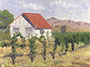 White Crane Vineyard, Livermore