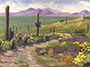 Cave Creek,Arizona desert