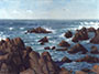 Pacific Grove