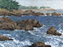 Pacific Grove