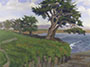 West Cliff Cypress